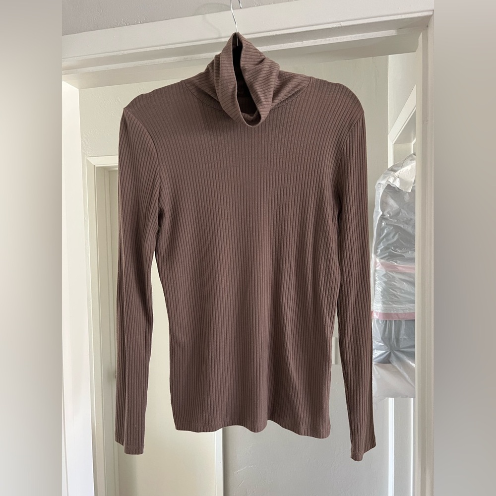 Madewell Taupe Turtleneck